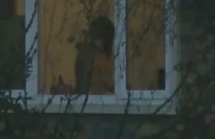 Voajer na prozoru