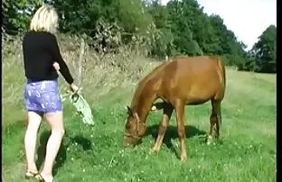 Gradsku djevojku jebao stari farmer.