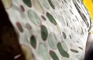 Vojarski špijun sa gornje strane suknje