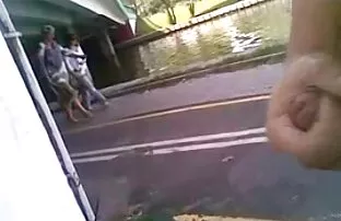 Javni kurac za masturbaciju 24