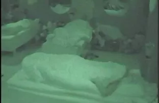 Big Brother 2006-Jessica Masturbacija