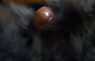 Dama zaljubljena