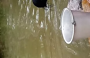 Tamilske žene pokazuju 1