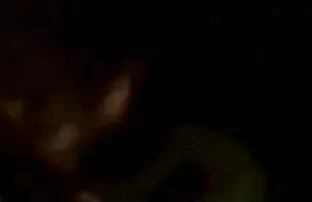 Besplatni porno video, visokokvalitetni, ženski seks, porno