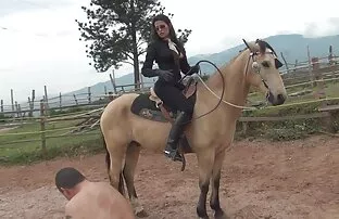 Svojstvo boli kalinde