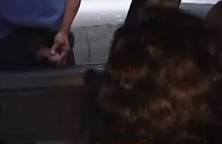 Dvije brazilske bebe uzimaju javni seks na otvorenom