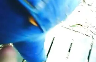 Amaterski brazilski svršavanje u slikama francuski crvenokosi seks film engleski