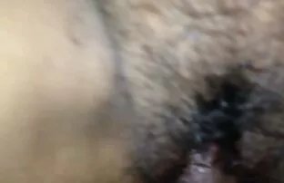 Stidljiva desi