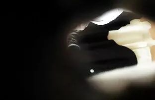 Besplatni porno video, visokokvalitetni, ženski seks, porno