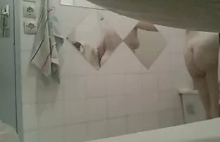 Zrela azijska dlakava maca