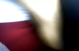 Dodirnite mačji autobus