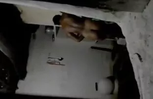 Voajer Šri Lanke