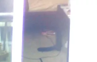 Prozor susjed voajer